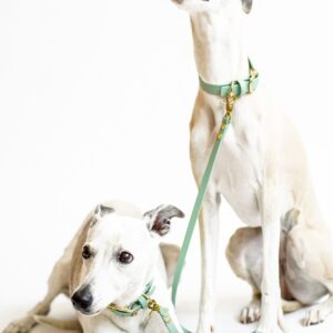 Alternative view of Hundeleine aus Biothane® 'Salbei'