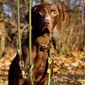 Alternative view of DESIGN YOUR OWN | Lederhalsband & Tauleine