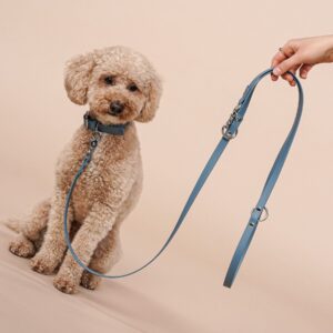 Alternative view of Halsband & Leine aus Biothane® 'Dusty Blue'