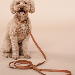 Alternative view of Hundeleine aus Biothane® 'Hellbraun'