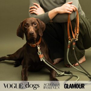 Alternative view of Essentials Walk Bundle | Lederhalsband + Tauleine Olive Grove + Hundemarke