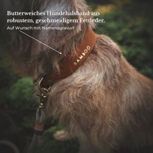 Alternative view of Leather Walk Bundle | Lederhalsband + Lederleine + Hundemarke