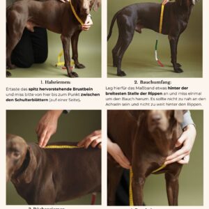 Alternative view of Hundegeschirr aus Biothane 'Mika' | Magenta